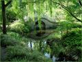 Chinesischer Garten von Roland Sch