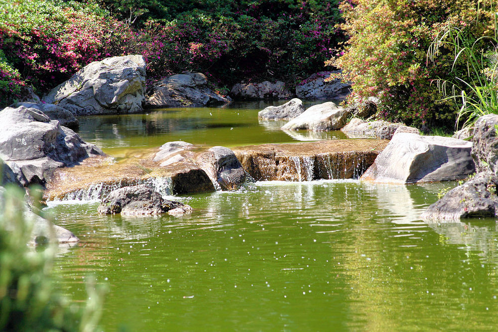 Chinesischer Garten