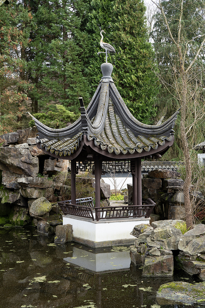 Chinesischer Garten Foto & Bild fotos, outdoor, architektur Bilder
