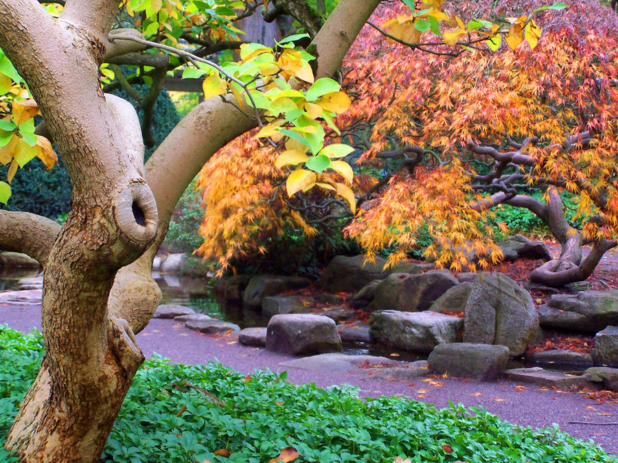 Chinesischer Garten