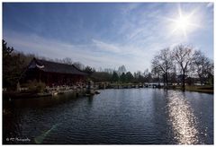 Chinesischer Garten