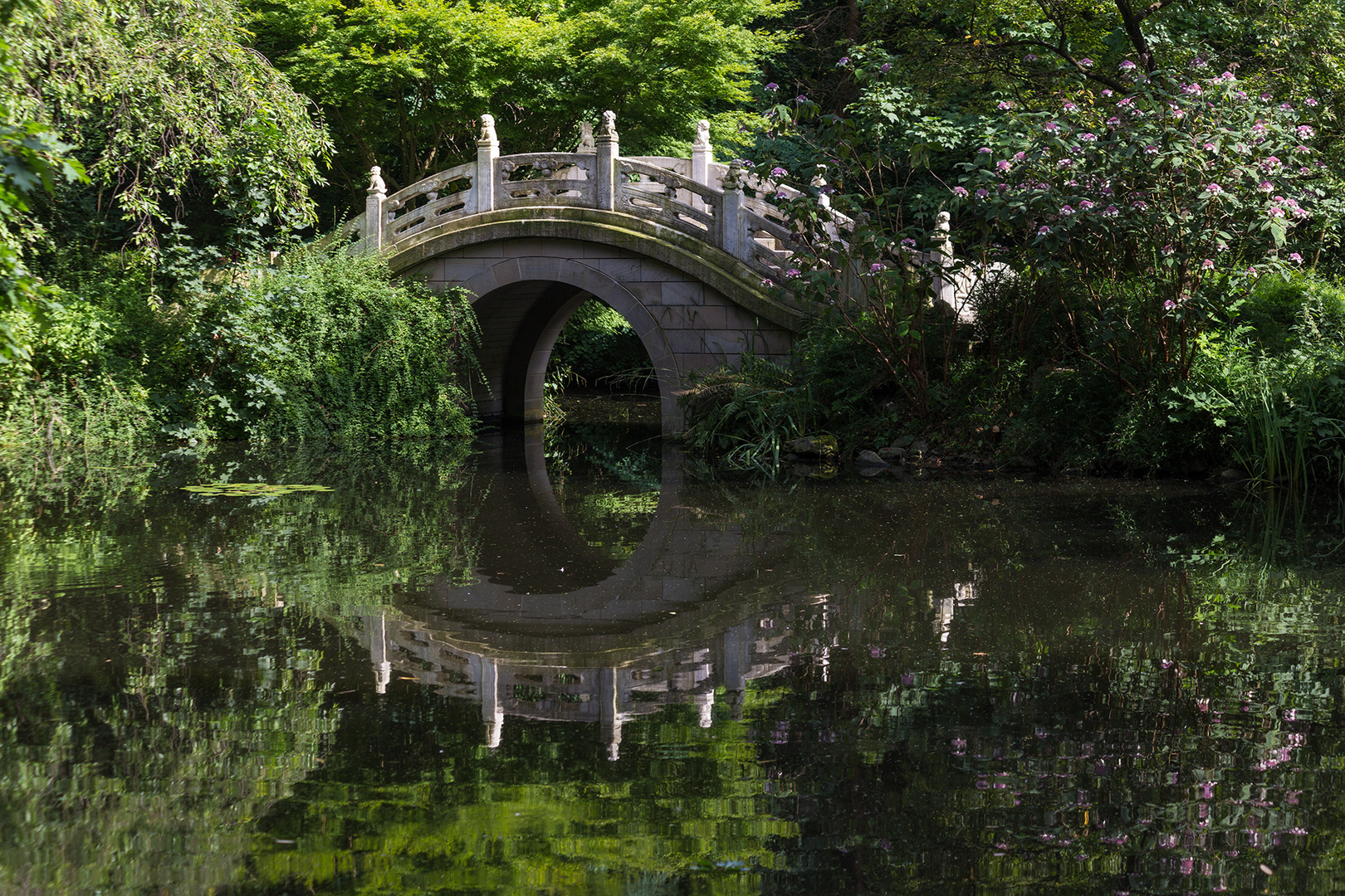 Chinesischer Garten Foto & Bild china, park, natur