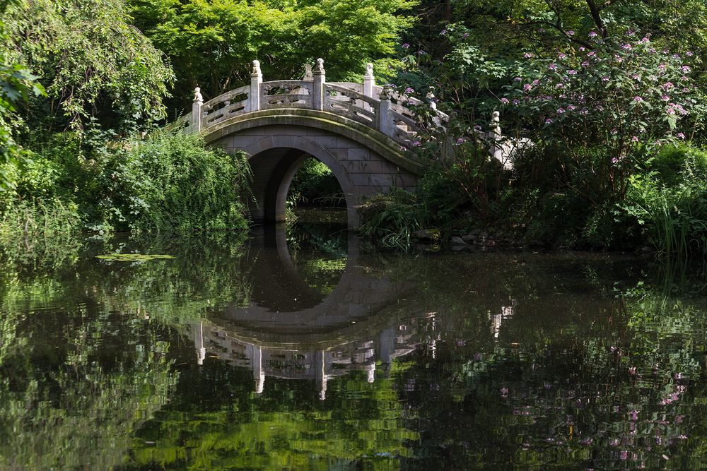 Chinesischer Garten Foto &amp; Bild china, park, natur