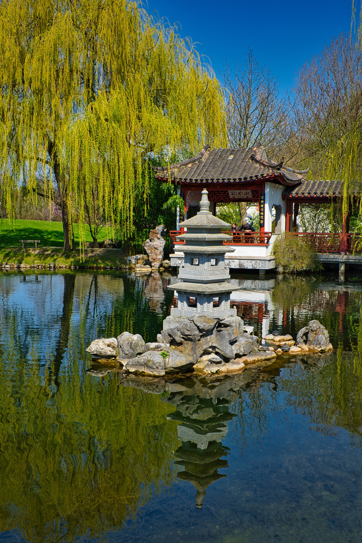 Chinesischer Garten (Bild 6) Spiegeltag