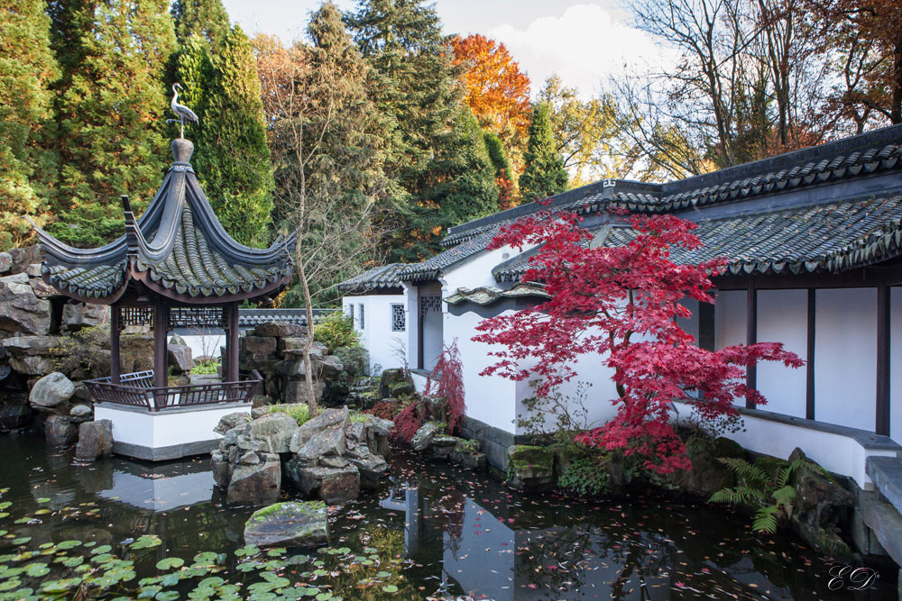 Chinesischer Garten Bochum Foto & Bild jahreszeiten, herbst