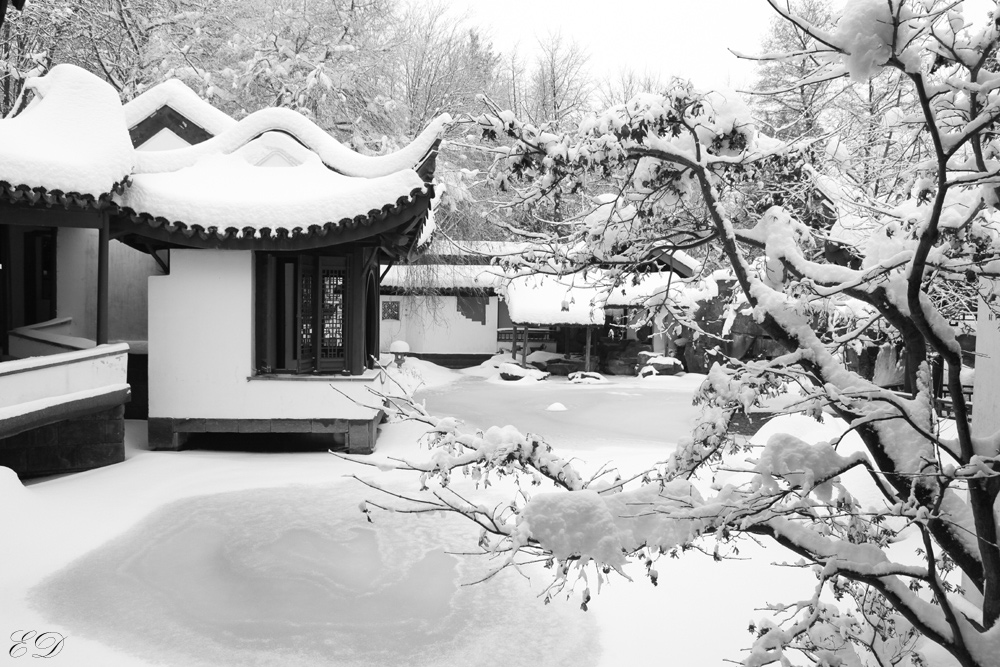 Chinesischer Garten Bochum 4 Foto Bild Jahreszeiten Winter