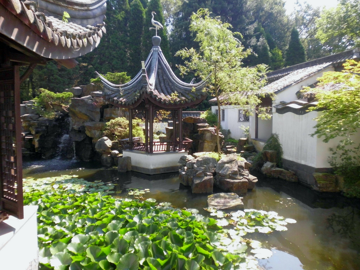 Chinesischer Garten Bochum Foto & Bild naturkreativ