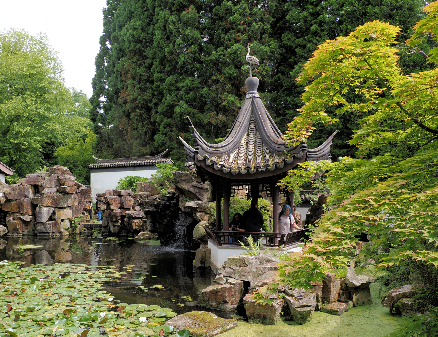 Chinesischer Garten Bochum Foto & Bild natur, landschaft, garten
