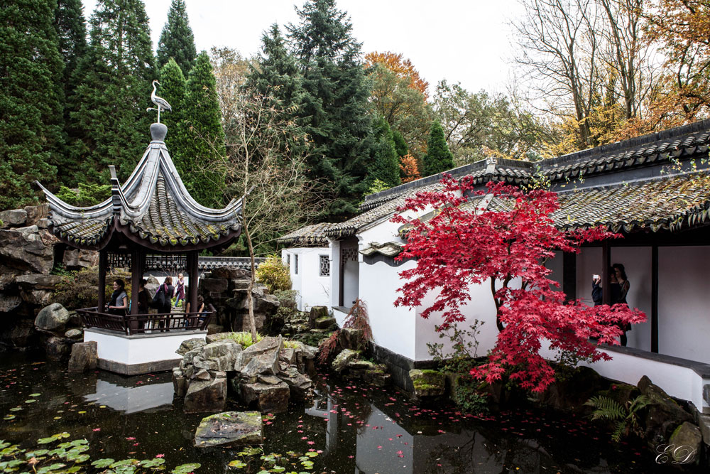 Chinesischer Garten Bochum Foto Bild Jahreszeiten Herbst