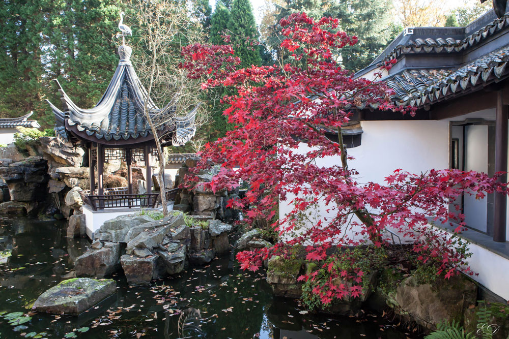 Chinesischer Garten Bochum