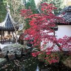 Chinesischer Garten Bochum