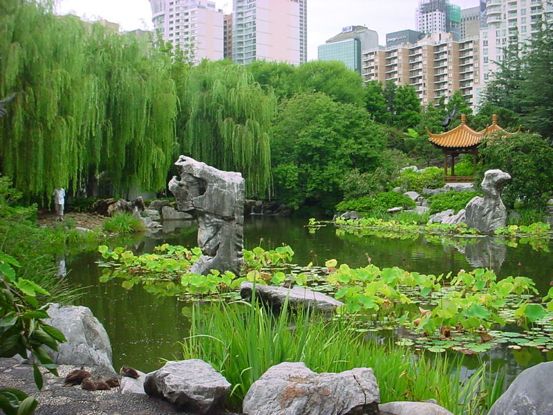 Chinesischer Garten Foto & Bild australia & oceania