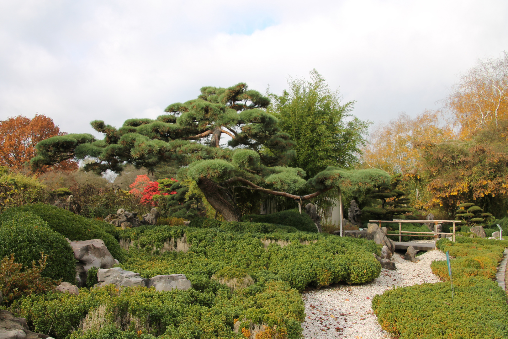 Chinesischer Garten