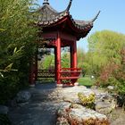 Chinesischer Garten