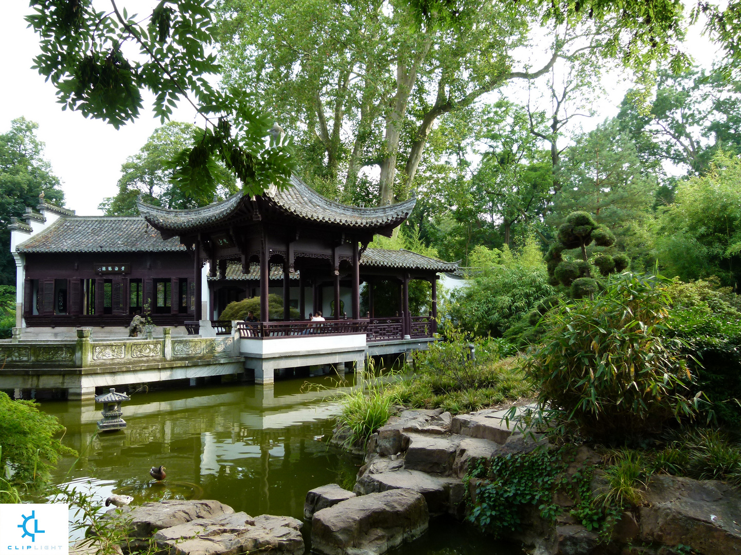 Chinesischer Garten Frankfurt Bornheim Foto & Bild
