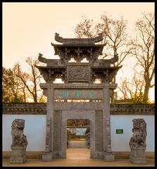 Chinesischer Garten Frankfurt III