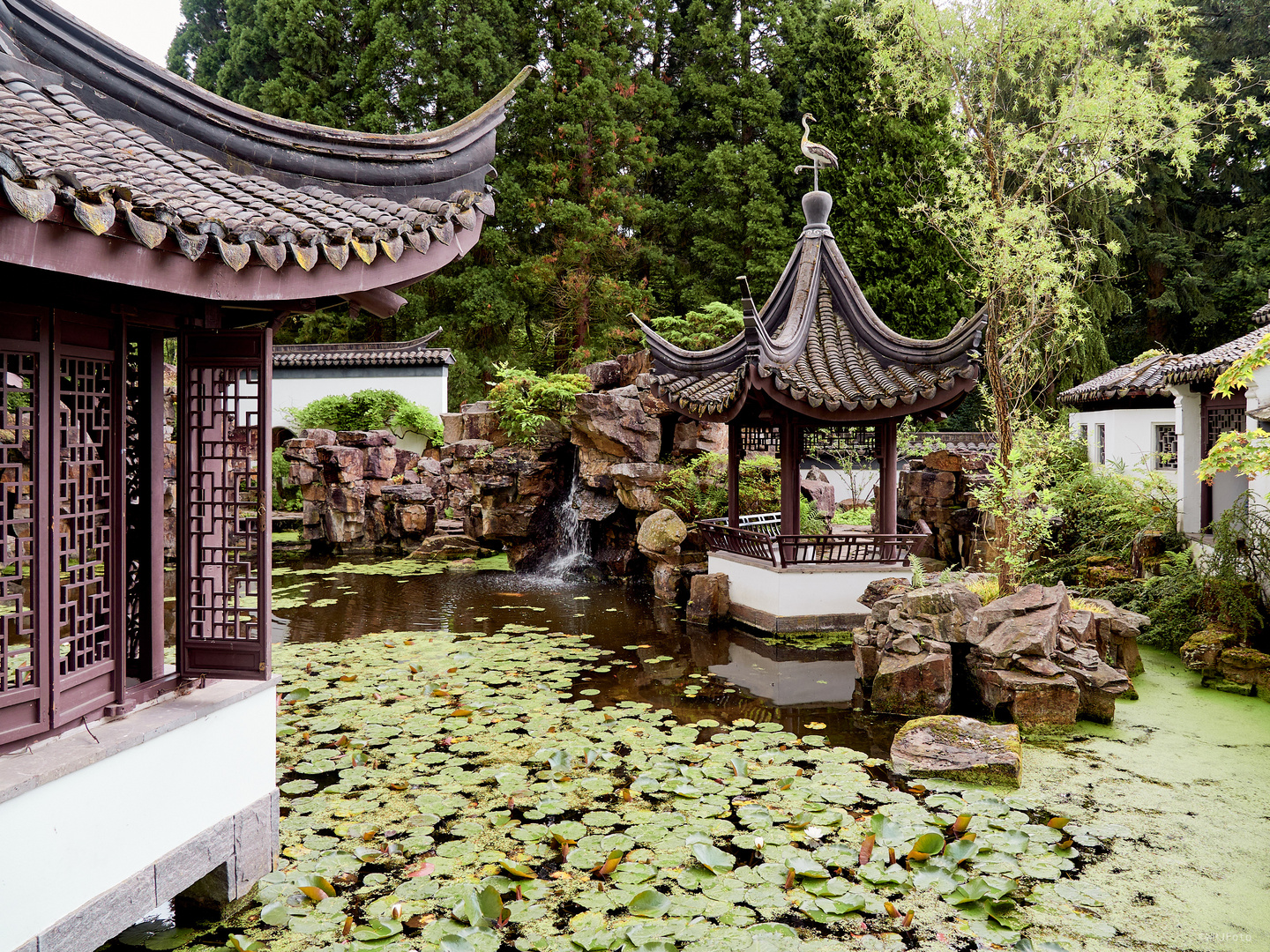  Chinesischer Garten II