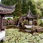  Chinesischer Garten II