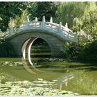 Chinesischer Garten im Duisburger Zoo