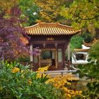 Chinesischer Garten im Westpark München