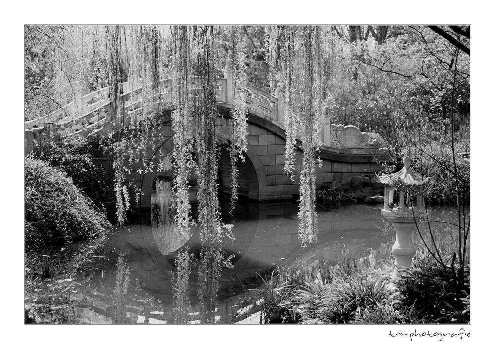 Chinesischer Garten im Zoo Duisburg Foto & Bild fotokunst, monochrome