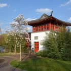 Chinesischer Garten in Berlin 004