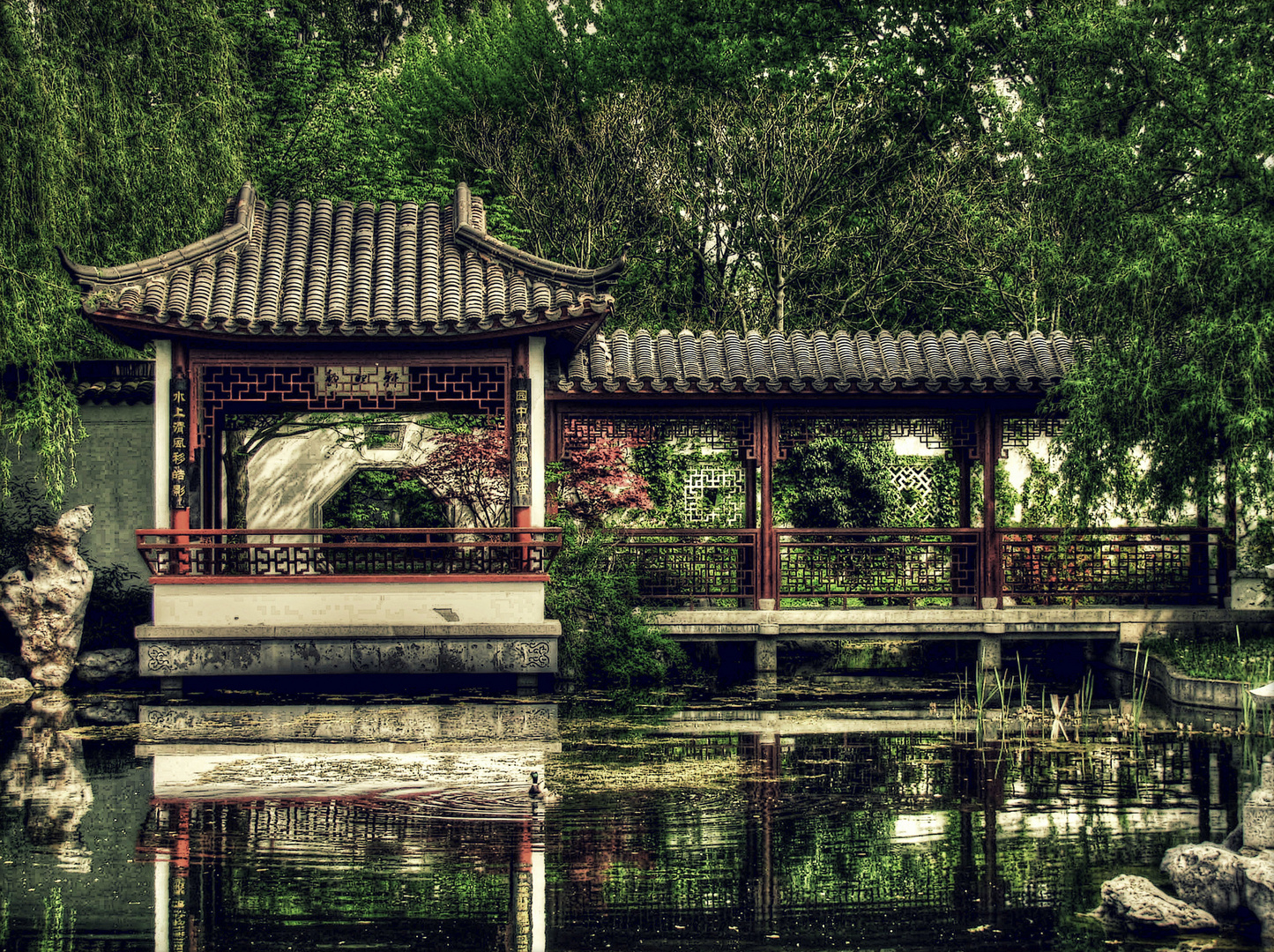 Chinesischer Garten in Berlin Foto & Bild natur