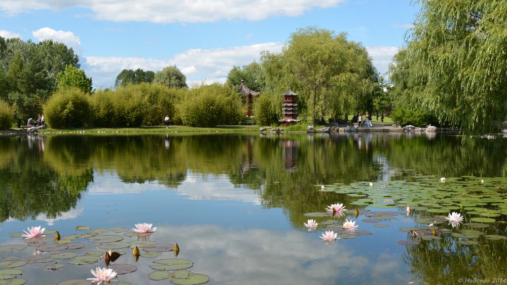 Chinesischer Garten in Berlin 6 Foto & Bild berlin