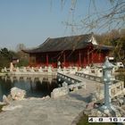 Chinesischer Garten in Berlin...im Vorfrühling