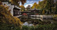 Chinesischer Garten in Frankfurt