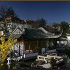 Chinesischer Garten in Stuttgart