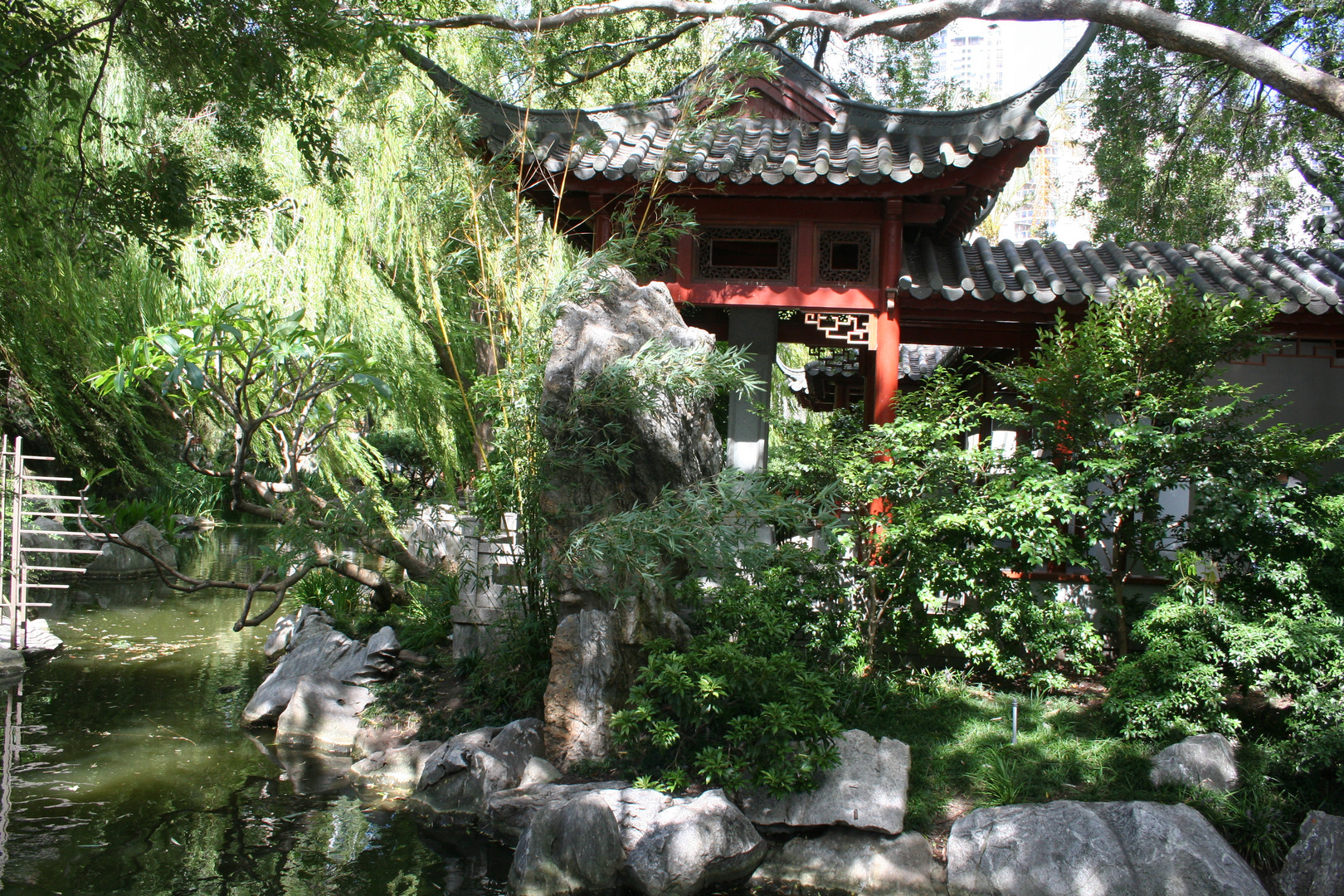 Chinesischer Garten in Sydney Foto & Bild landschaft, garten