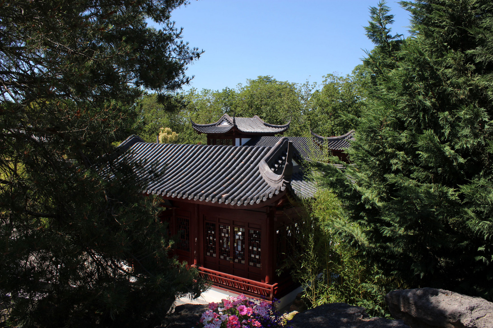 chinesischer Garten in Weissensee Foto & Bild natur