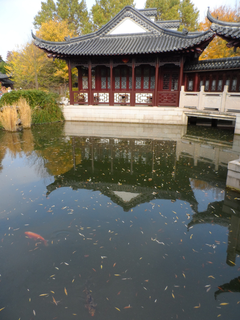 Chinesischer Garten, Luisenpark Mannheim