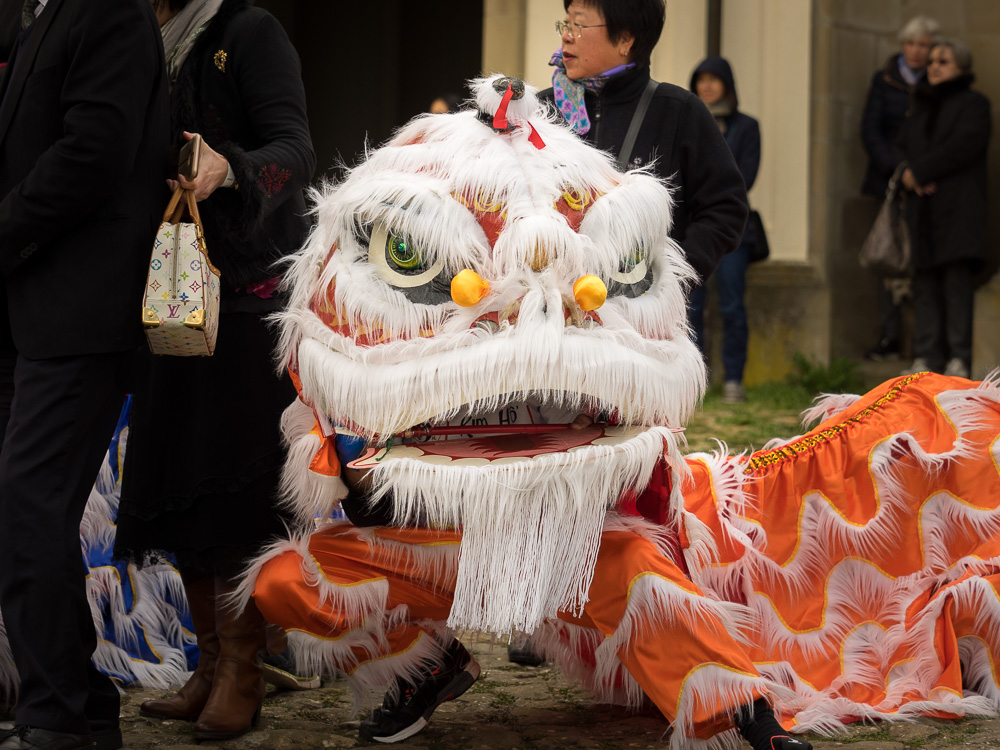 Chinesischer Kulturtag - Löwentanz