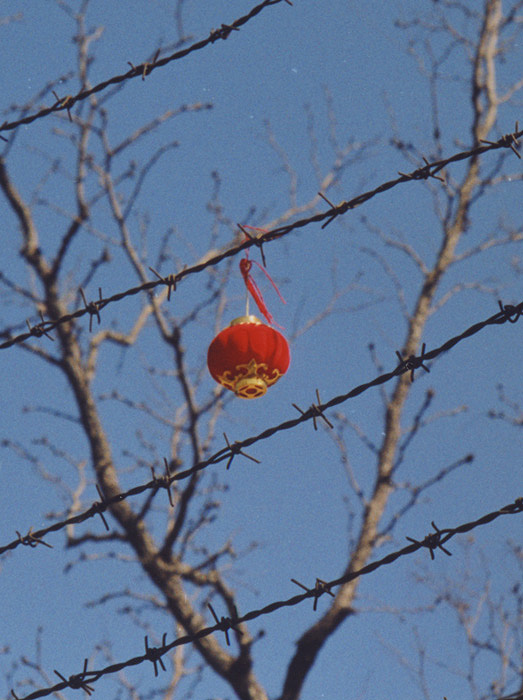 Chinesischer Lampion von Khendra M.