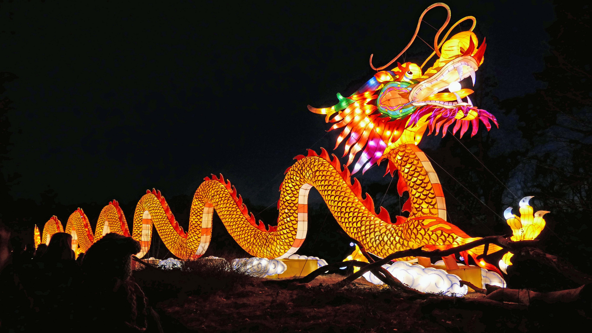 Chinesischer Leuchtdrache