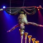 CHINESISCHER NATIONALCIRCUS Kopf-Balanceakt