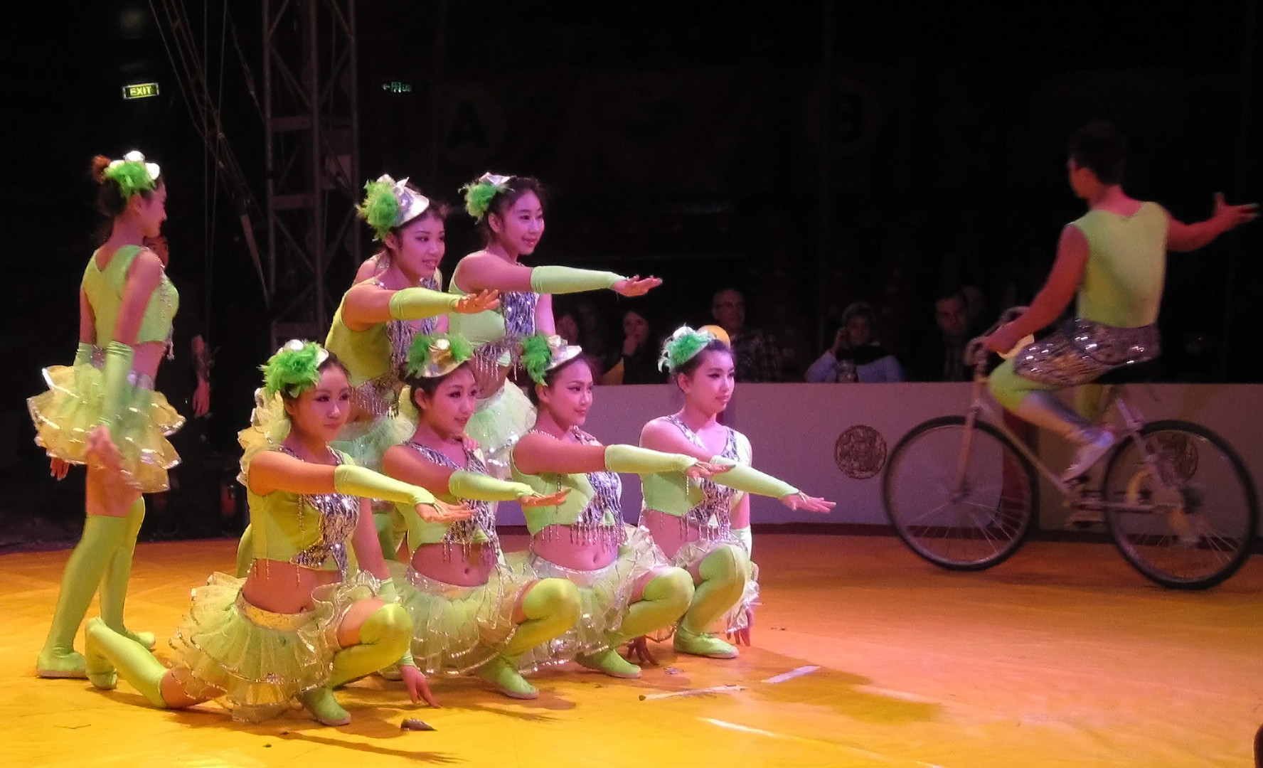 Chinesischer Nationalzirkus am 29.12.2012 in München