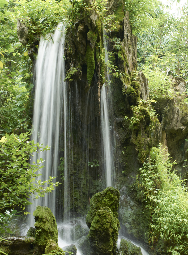 Chinesischer Park