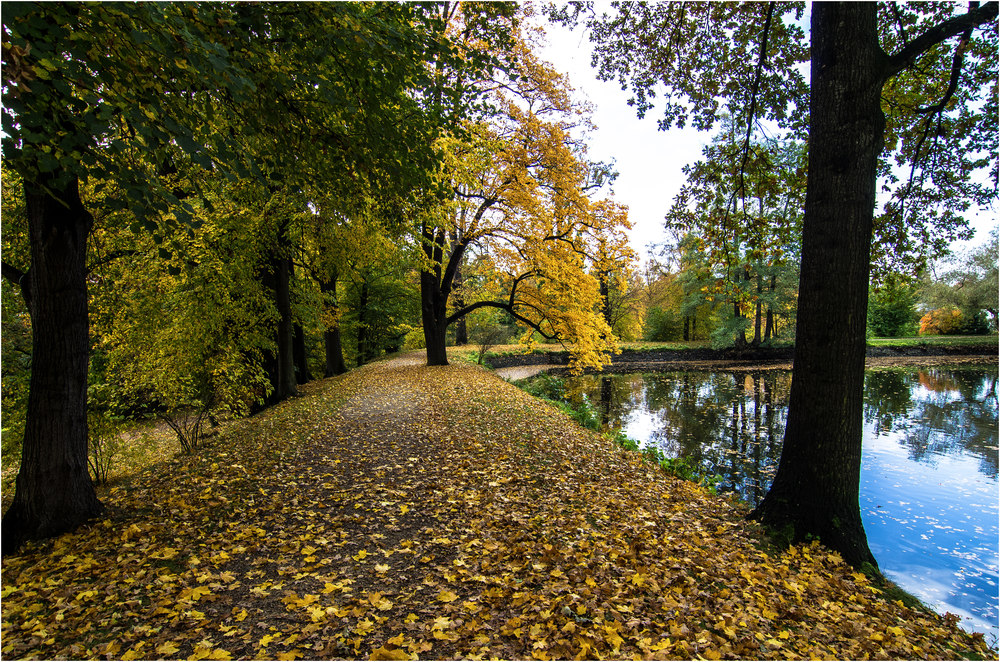 Chinesischer Teich im Schlosspark Pillnitz