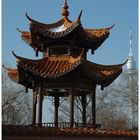 Chinesisches mit Donauturm