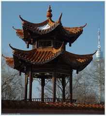 Chinesisches mit Donauturm