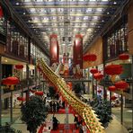 Chinesisches Neujahrsfest (02)