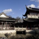 chinesisches Teehaus im Luisenpark Mannheim