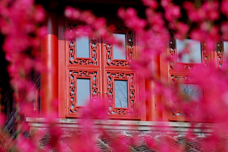 Chinesisches Teehaus mit Blüten.