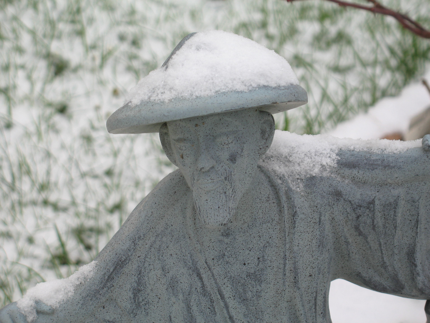 chinois sous la neige