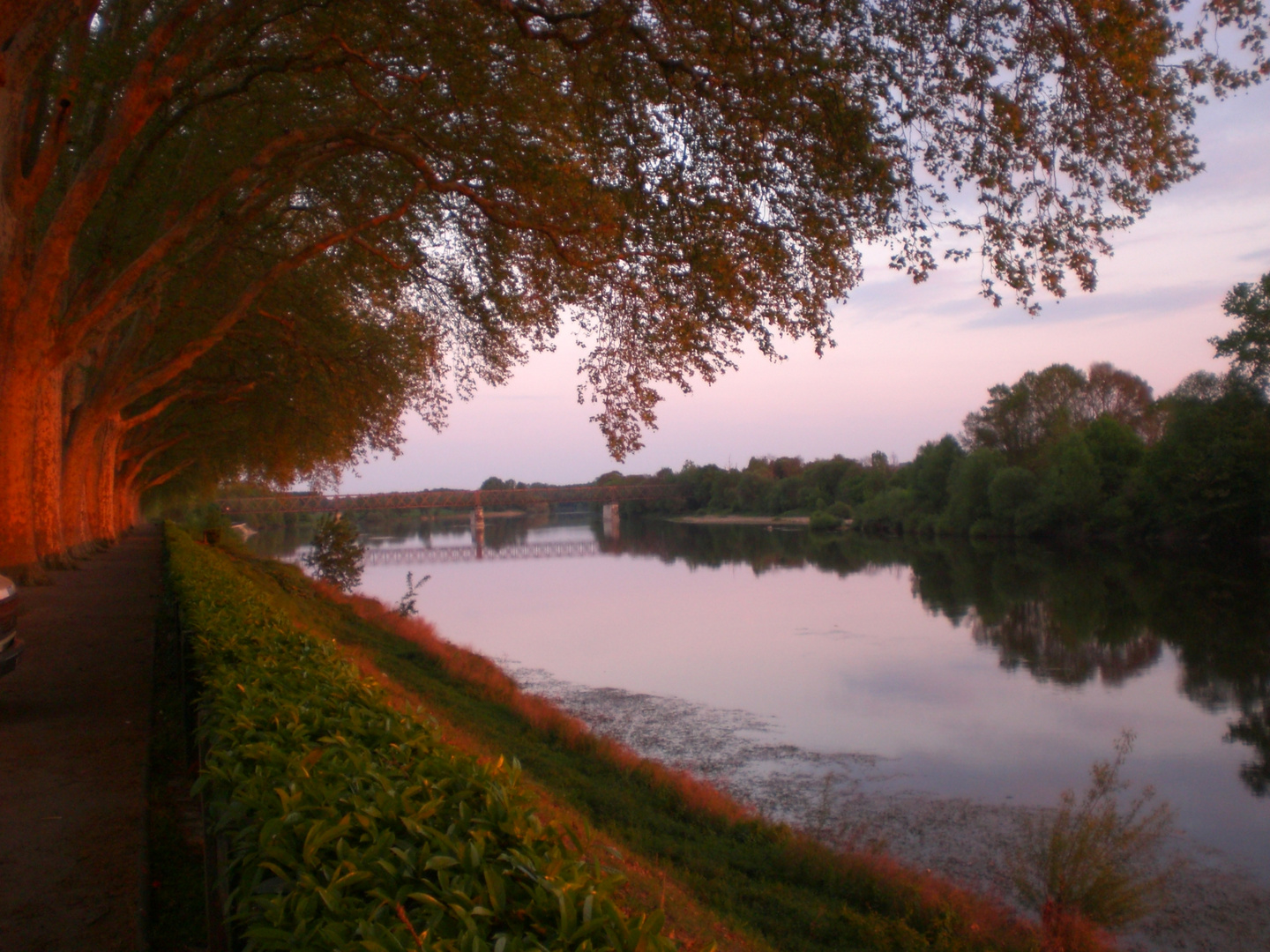 Chinon an der Vienne