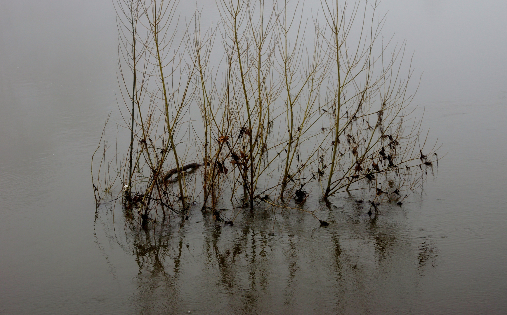 CHINON DANS LA BRUME HIVERNALE 5