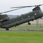 Chinook